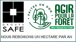 les forêts d'Alsace du Nord
